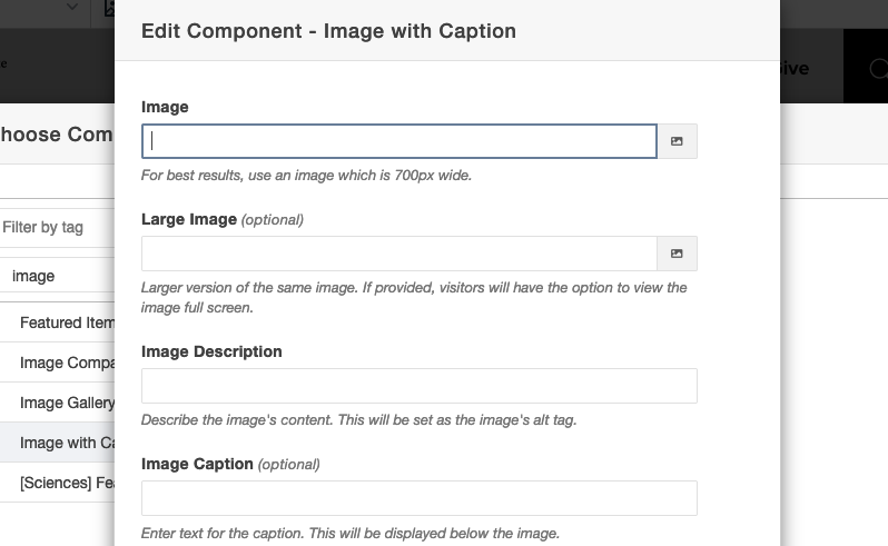The Image Chooser within the Image with Caption component