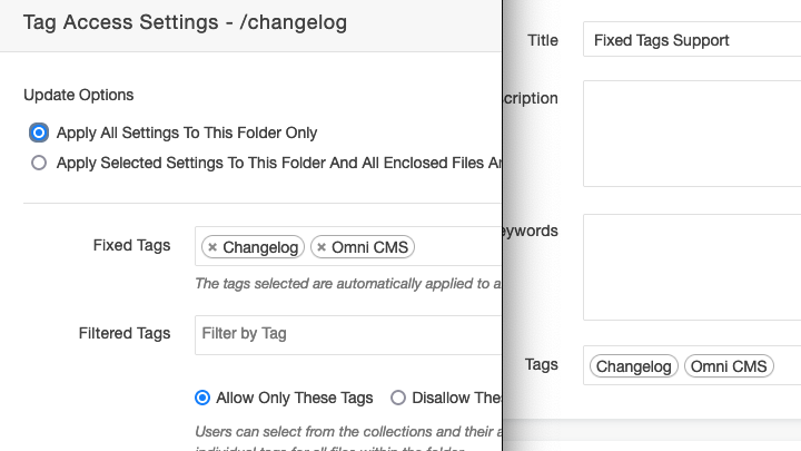 Fixed Tags in Tag Access Settings and Page Properties