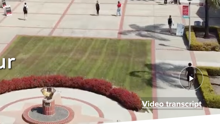 Video transcript link below play button on homepage video
